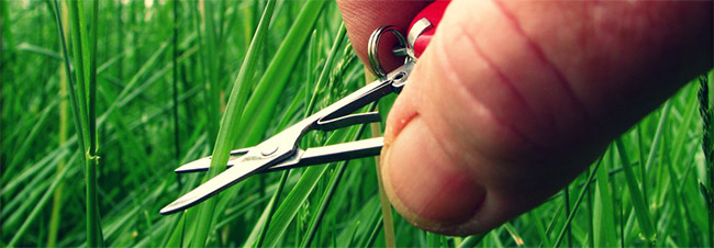 Cut